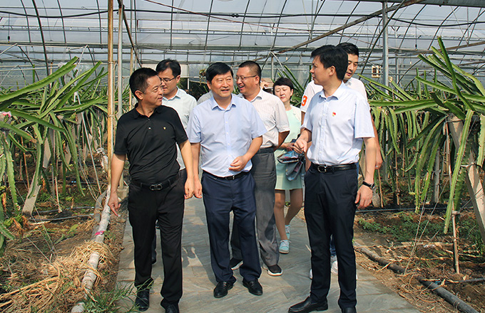 第3頁_新聞資訊_安徽五星果品有限公司