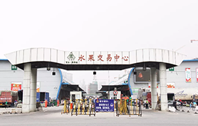 第3頁_新聞資訊_安徽五星果品有限公司