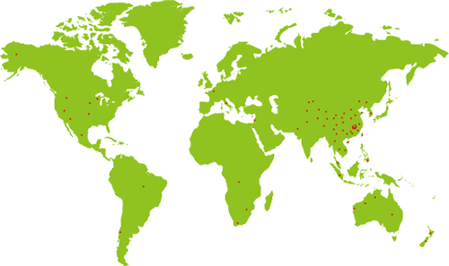 組織架構_關于我們_安徽五星果品有限公司
