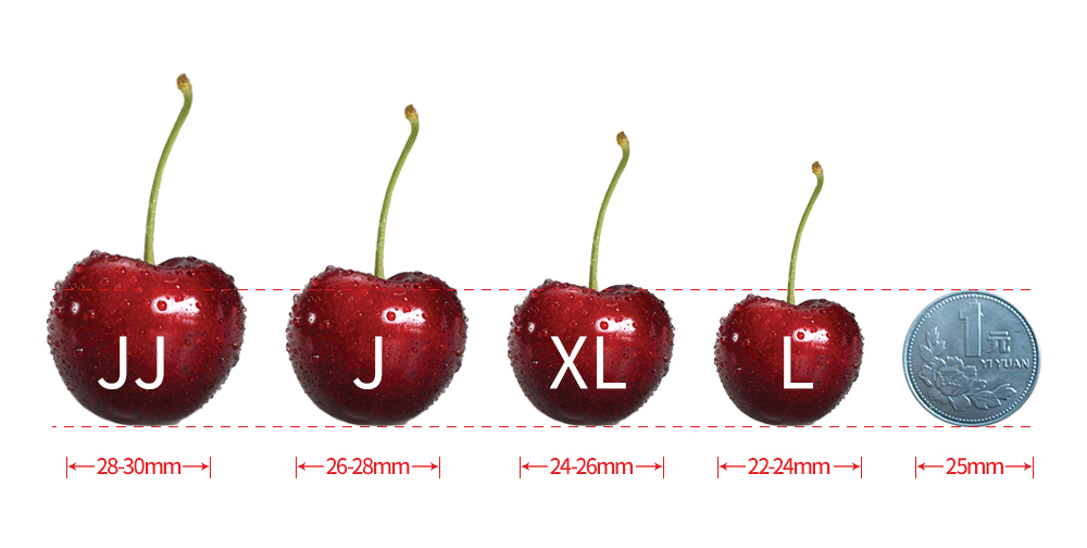 車?yán)遄哟笮?jpg