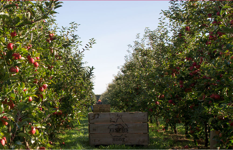 1653358897490445.png ca79e96c1ec4c026c589b4caefd9d5b.png