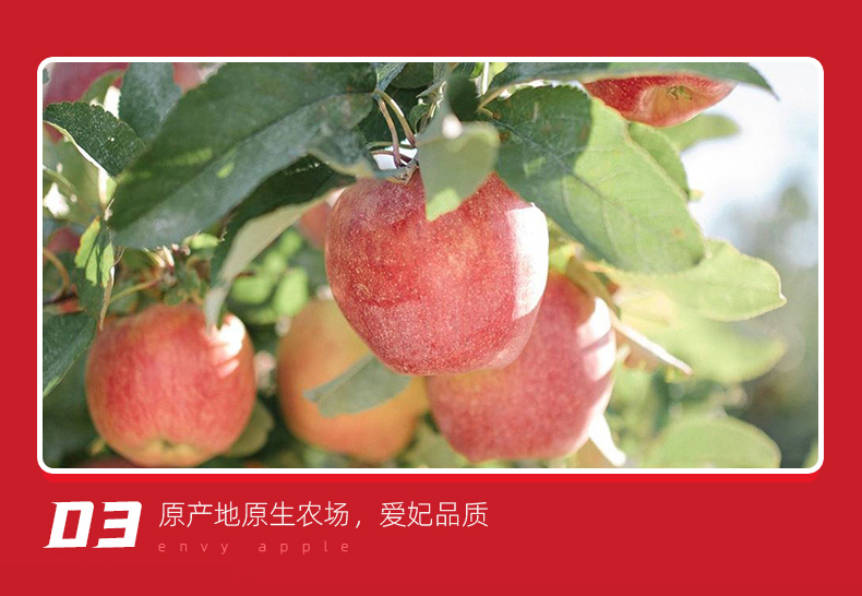 1653358956892153.jpg O1CN01tKbjqr1FVNc2RR74S_!!2207013420492.jpg